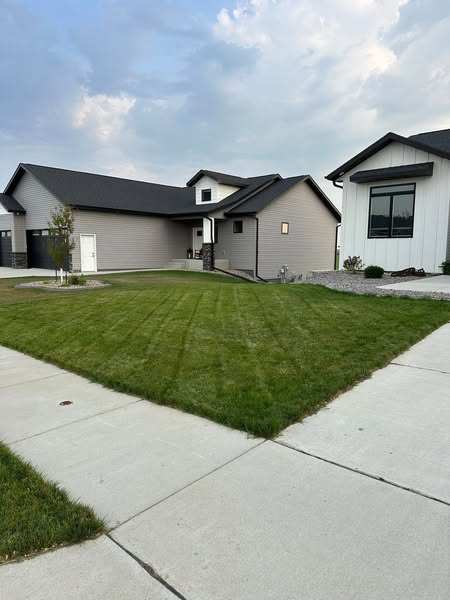 đ„đ±Lawn Hydroseeding & Green Grass Lawn