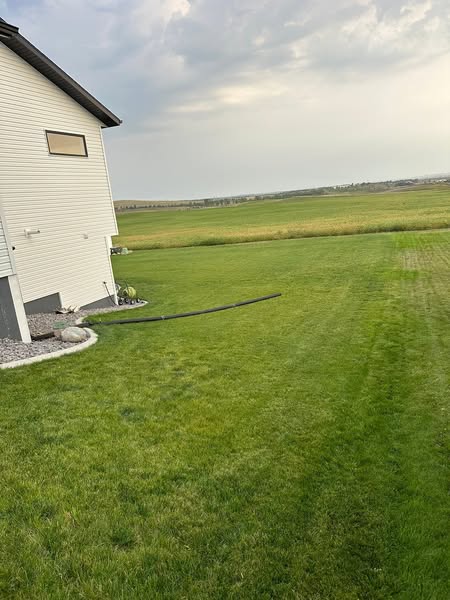 🔥🌱Lawn Hydroseeding & Green Grass Lawn