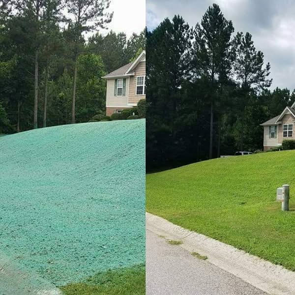 🔥🌱Lawn Hydroseeding & Green Grass Lawn