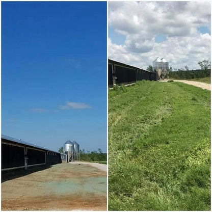 🔥🌱Lawn Hydroseeding & Green Grass Lawn