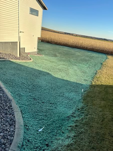 🔥🌱Lawn Hydroseeding & Green Grass Lawn